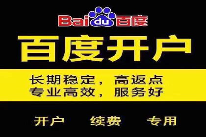 百度推广渠道拓展，成功案例分析
